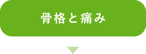 骨格と痛み