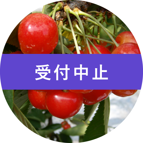 さくらんぼ