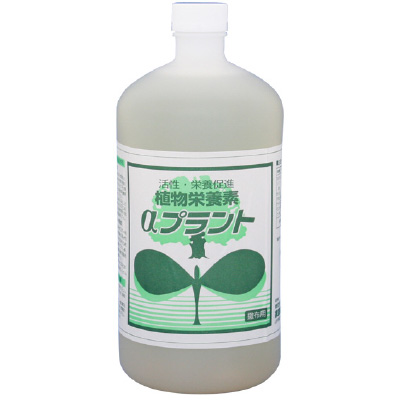 αプラント
