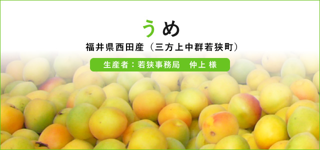 梅
