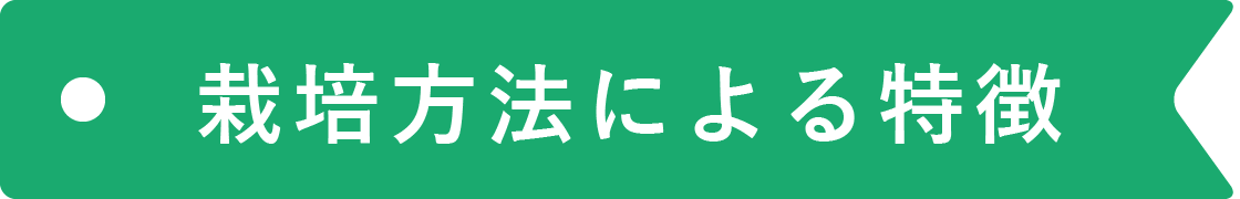 栽培方法による特徴